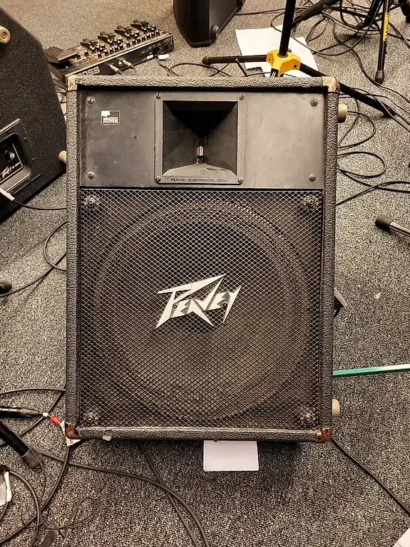 3 Peavey Monitore