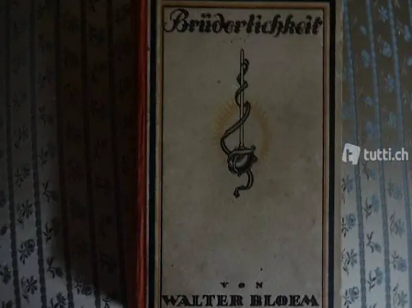 Buch Brüderlichkeit von Walter Bloem gedruckt 1922