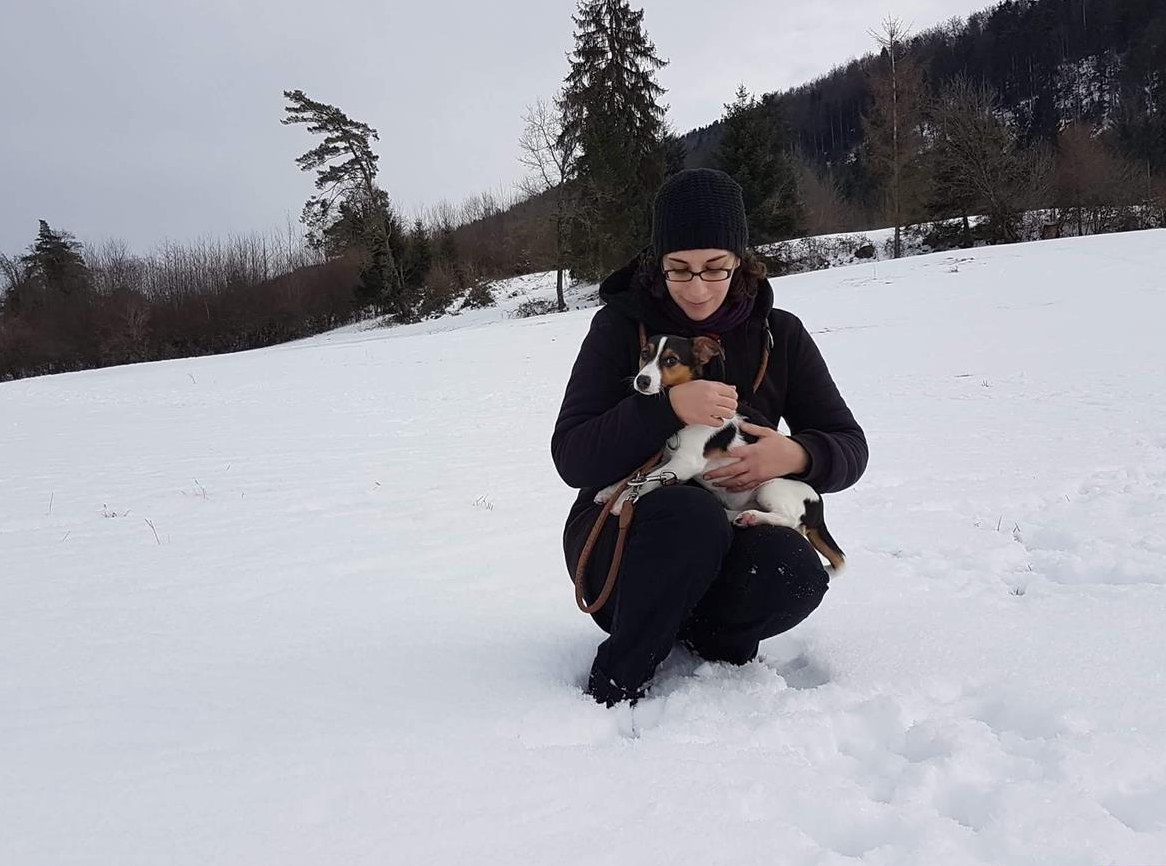 Biete Hundebetreuung mit Einzelhaltung