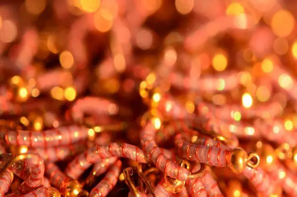 GK28 Hegene für Egli in Grösse 8 by ramsey