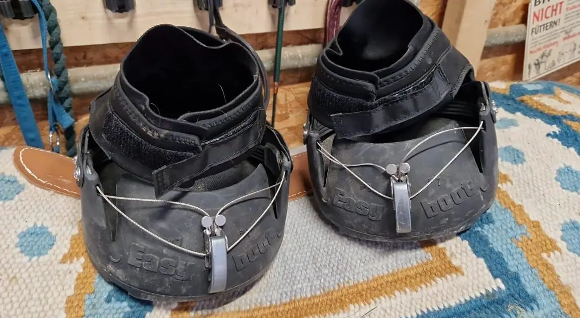 TOP neue Hufschuhe für Kaltblüter / falsche Grösse bestellt