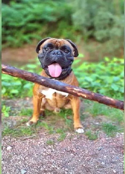 Aron (3) sucht ein Zuhause auf Zeit (für ein Jahr) Ab 01.07.25