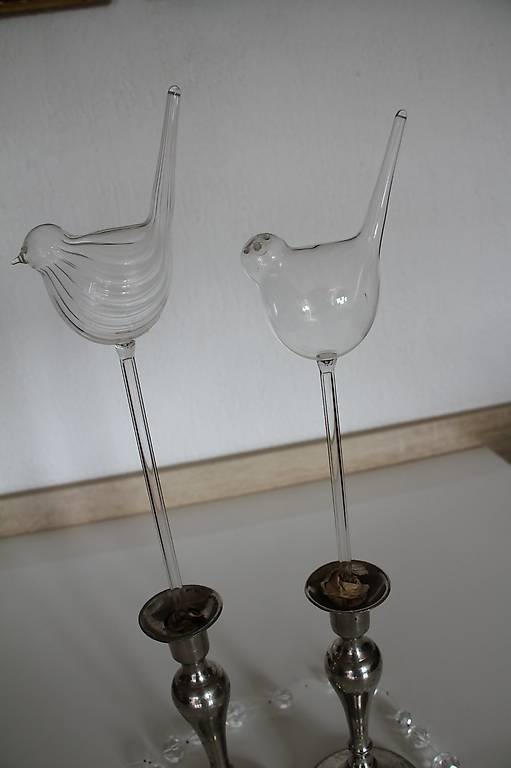 Uccelli di vitro, vaso cristallo, broca di vitro.