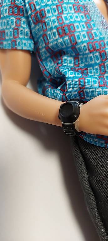 Barbie Spay Squad Ken