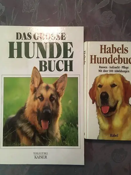 Das grosse Hundebuch. Wie neu.