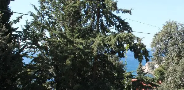 3St.Haus 150m2 Grund 200m2 Strand 400m Meerblick