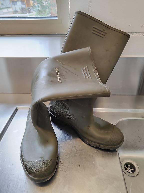 Gummistiefel Dunlop Gr. 43 + Worker Gr. 40