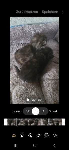 Süsse Langhaarmädchen suchen dich