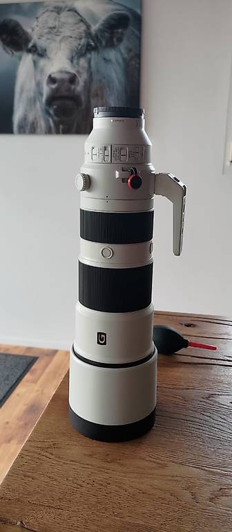 Sony Objektiv 600mm