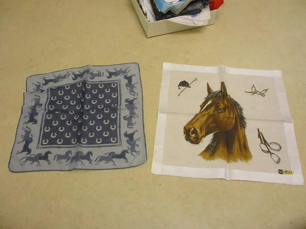 2x Taschentuch Rösseler Appenzell Stoff mouchoir Nastuch