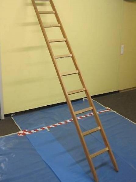 Holz-Leiter Schweizer Armee Hohl Suhr 300cmNEU