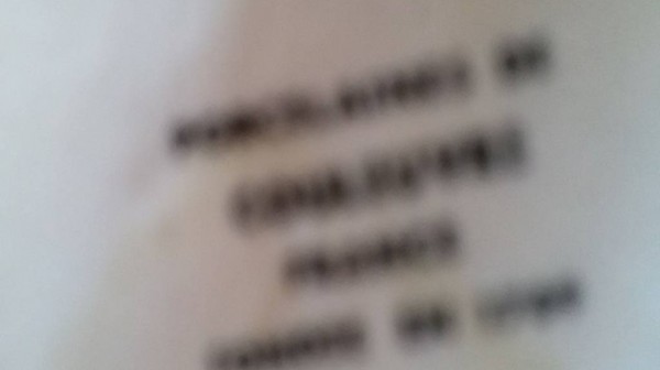 Porzellan Dekor Fruchtschalle