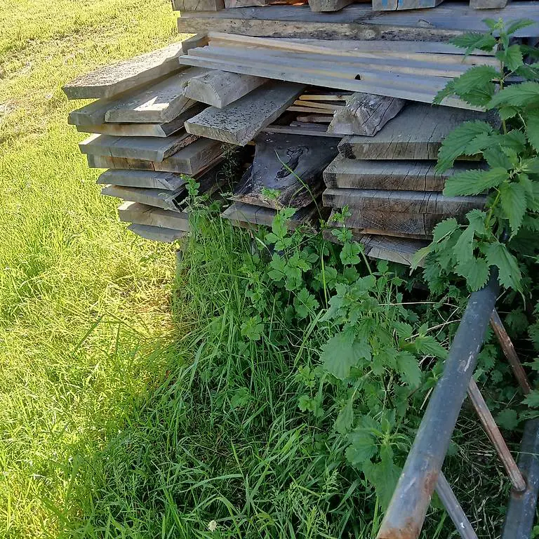 Eiche klotzbretter div dim. 5m