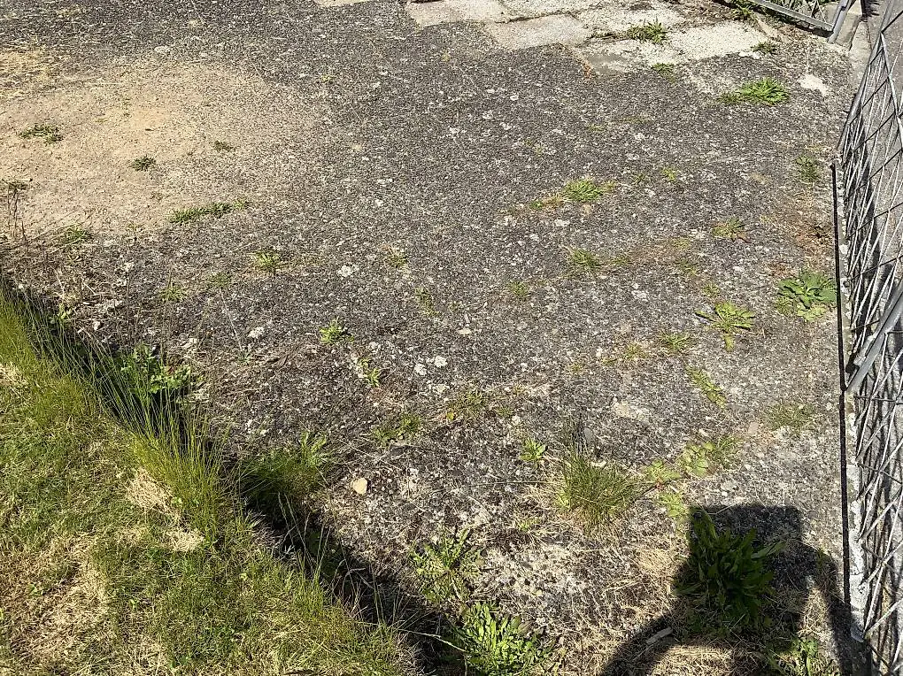 Gartenplatten / Stellriemen