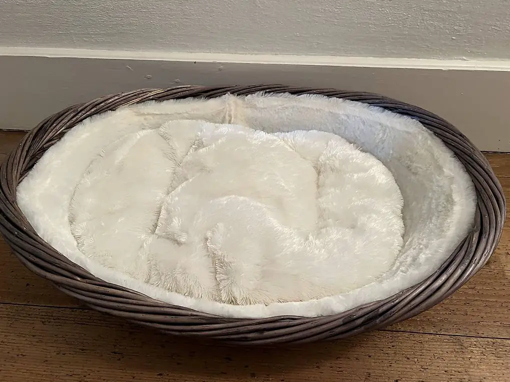 Katzenkorb oder kleiner Hundekorb