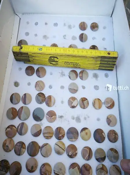 Pietra Paesina (Italia)