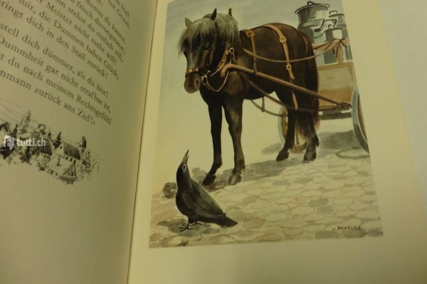 Die Geschichte vom Ponely Hüf