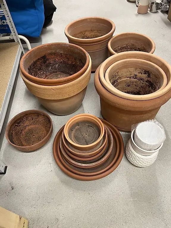 Gartentöpfe / Terrakotta Blumentöpfe