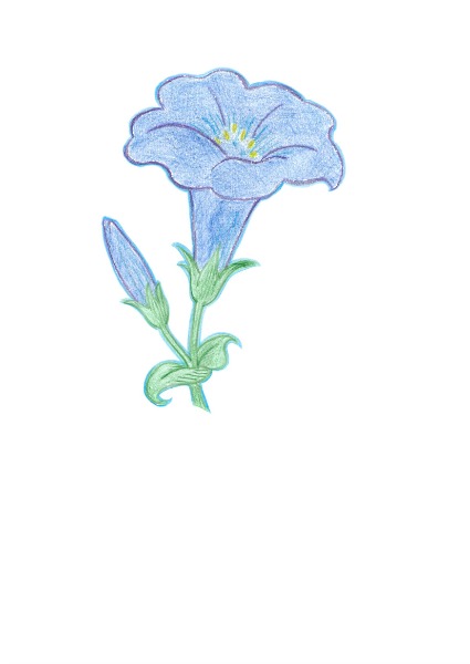 Fusspflege und Massage