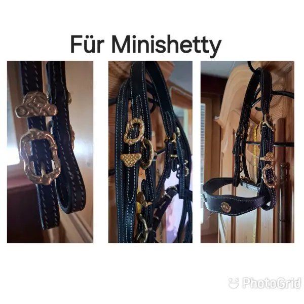 Neuer Minishetty Barockzaum