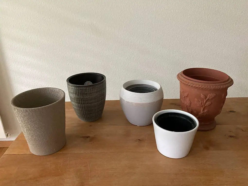 Übertöpfe für Pflanzen, diverse Dessins