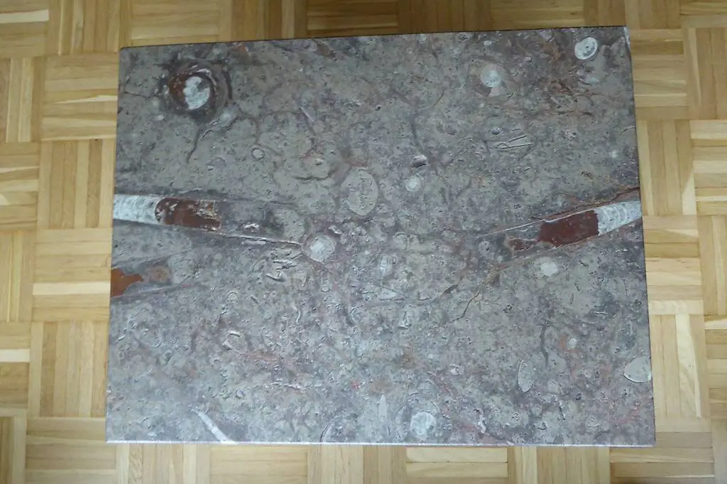 Natursteinplatte mit Fossilien "UNIKAT"