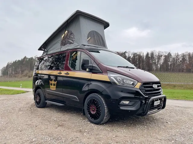 FORD, Dethleffs Globevan DETAR TWO, Wohnmobil / Wohnwagen