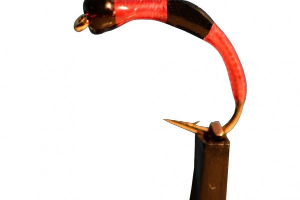  GP2 Felchenhegene, Gambe, Nymhen, original ramsey Egli