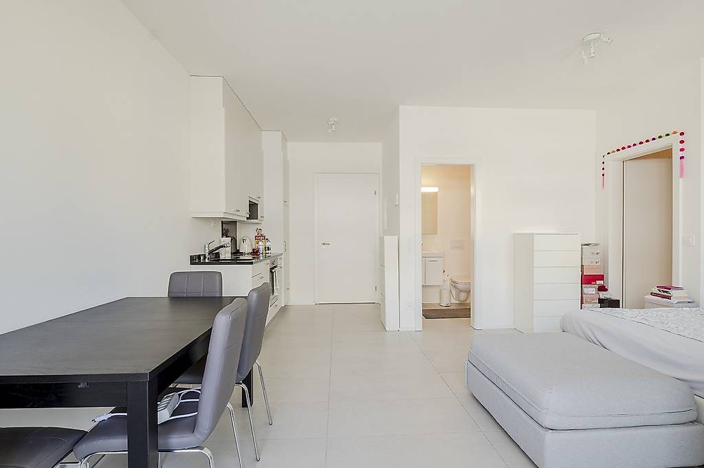 pratico monolocale a lugano