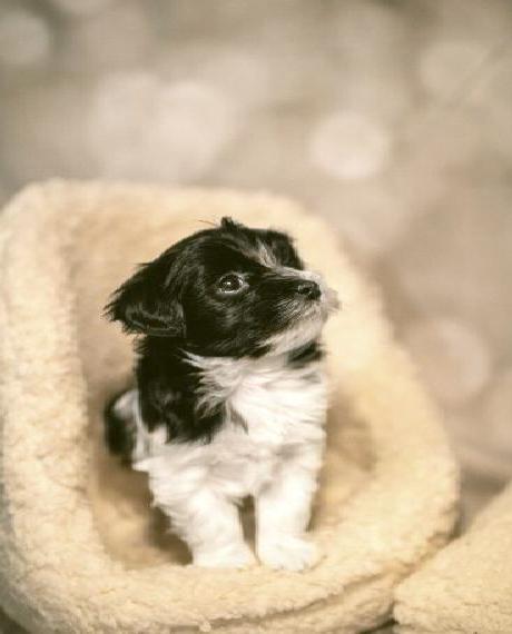 Sie suchen ein liebes Zuhause