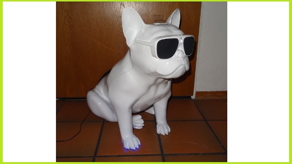 Französische Bulldogge Lautsprecher