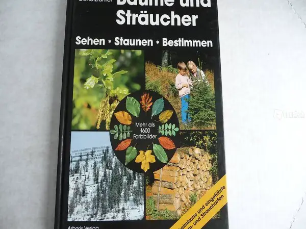 Bäume und Sträucher