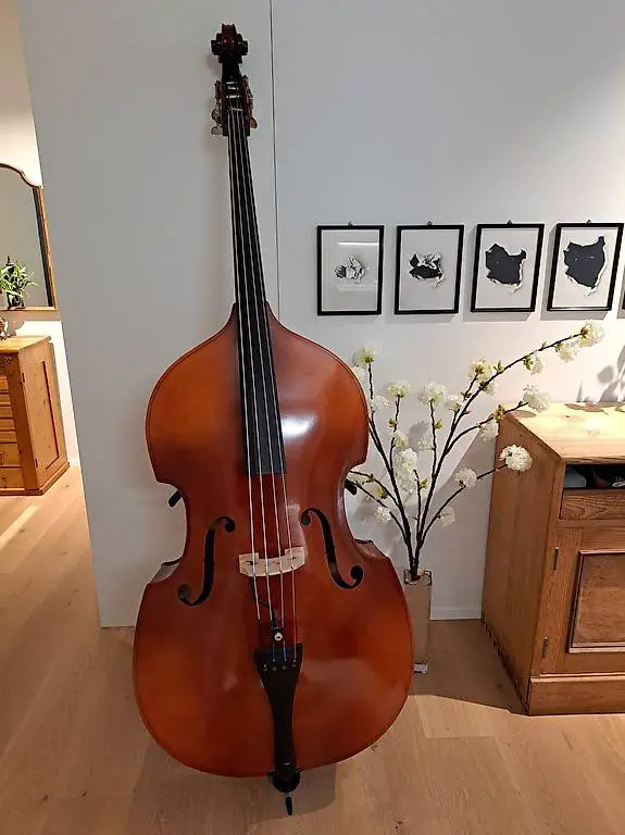 Kontrabass Set, alles dabei, ready to play