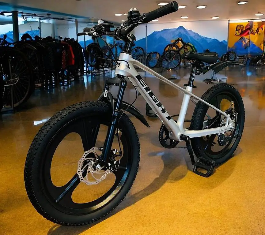 neues 20 Zoll Mountainbike Alu Rahmen Magnesium SILBER NEU