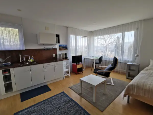 Möblierte 1.5 Zimmer Studio-Wohnung