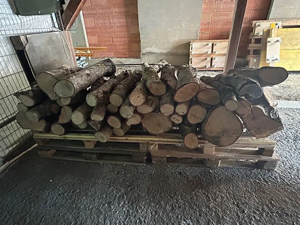 Nussbaum Dolder, Äste, 41 Stück, sie sind ca. 85 cm lang