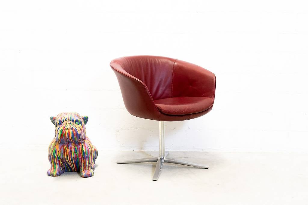 Walter Knoll Bob Stuhl Leder - 22 Stück verfügbar