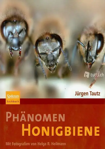 Tautz, Phänomen Honigbiene