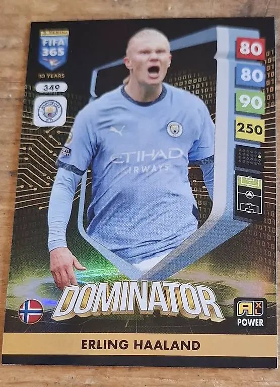 Erling Haaland Sammelkarte