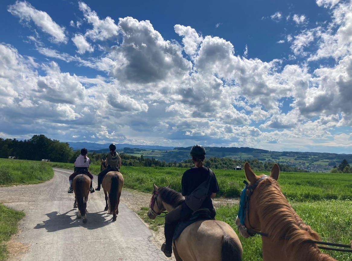 Kinderferien / Reitferien auf dem Ponyhof im Aargau