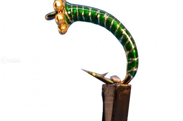  RK24 Egli und Felchen made by ramsey SwissMade