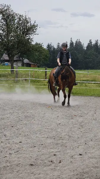 Leidenschaftliche Reitbeteiligung