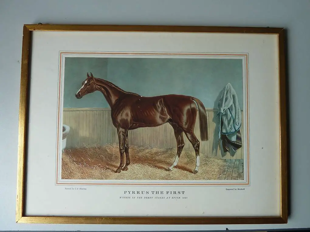 Kunst Bild Pferd, vintage, Kunstdruck