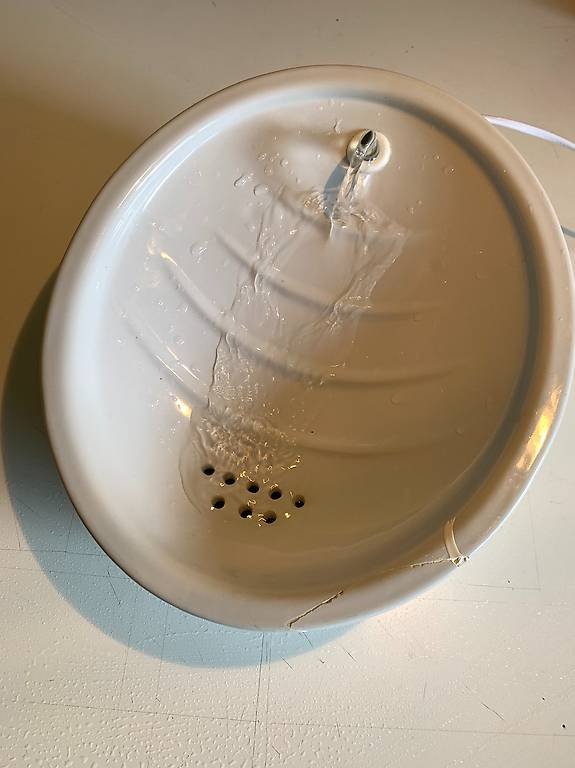 Trinkbrunnen für Katzen