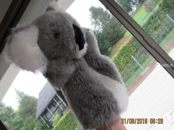  Coalabär, Handpuppe, Spielpuppe, Kasperlipuppe