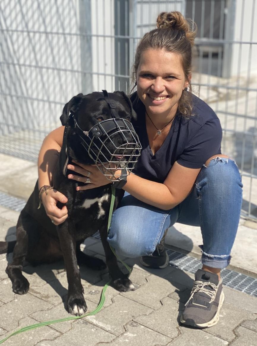 Gelernte Tierpflegerin / §11 Hundetraininerin sucht in der Schweiz ihr Glück