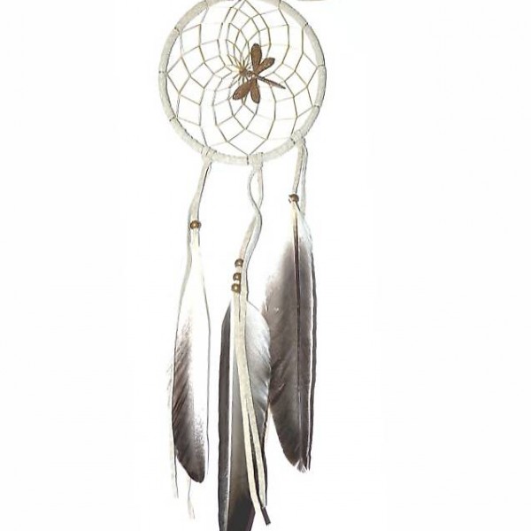  Traumfänger natur mit Libelle