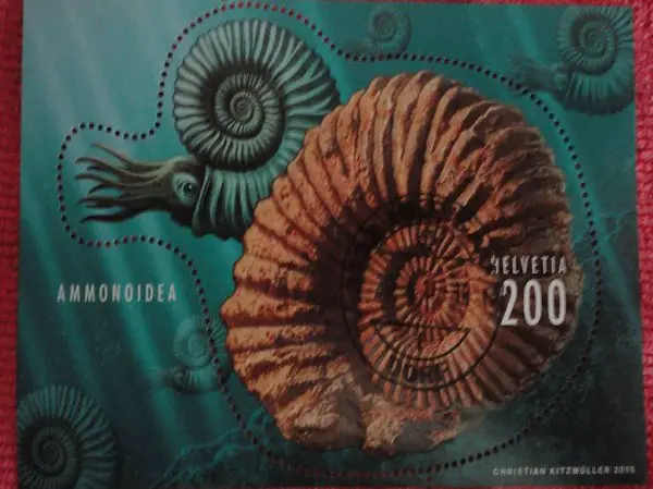  HELVETIA 200 AMMONOIDEA