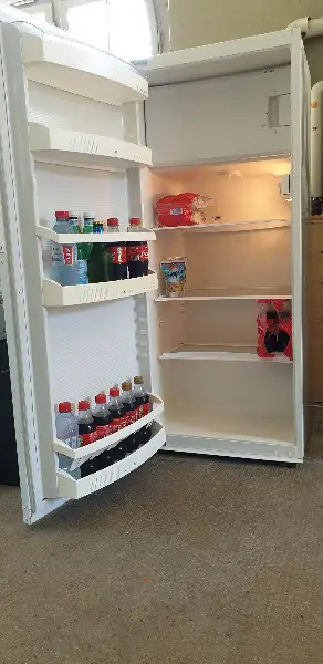 Einbaukühlschrank Electrolux EK 10-L