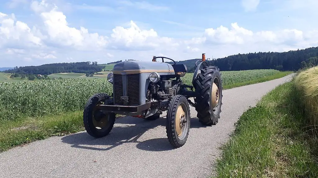 Ferguson TE A20 (Oldtimer, ab MFK)